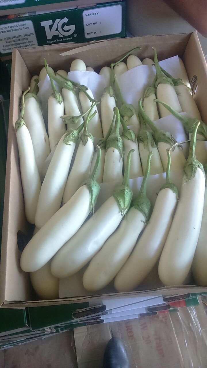 Egyptian produce loaded and secured for transit